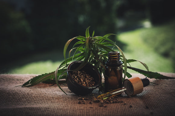 What is pure CBD oil and how is it created?