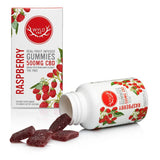 Wyld CBD - CBD Edible - Raspberry Gummies - 250mg-500mg - Natural Releaf CBD